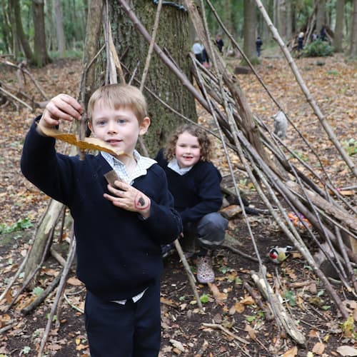 Where Learning Grows: Highfield and Brookham Wins Woodland Trust Bronze Award